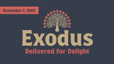 Delivered for Delight