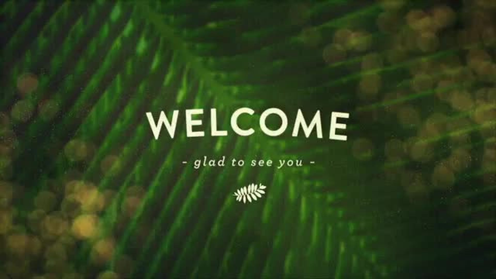 HMBC Detroit - Sunday, March 29, 2026 - 7:30 AM Service