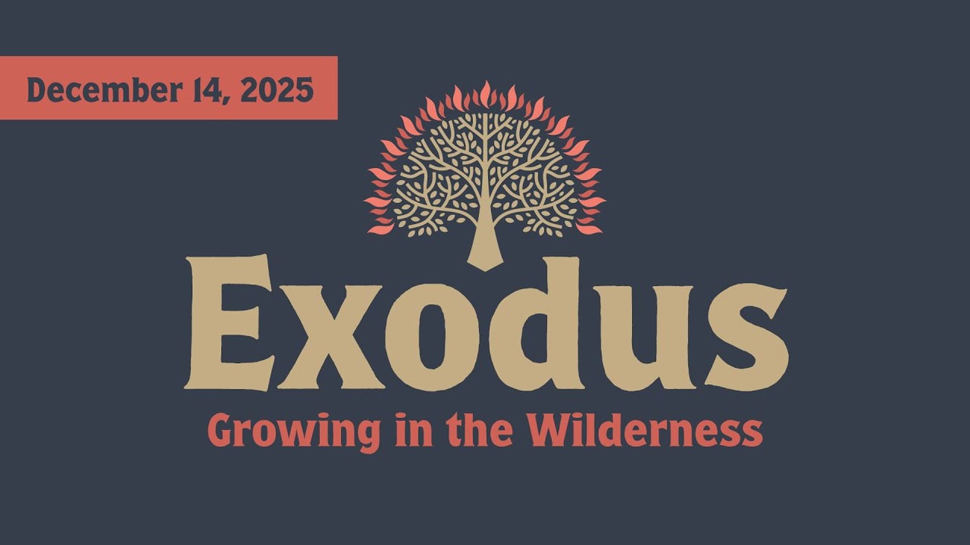 Growing in the Wilderness