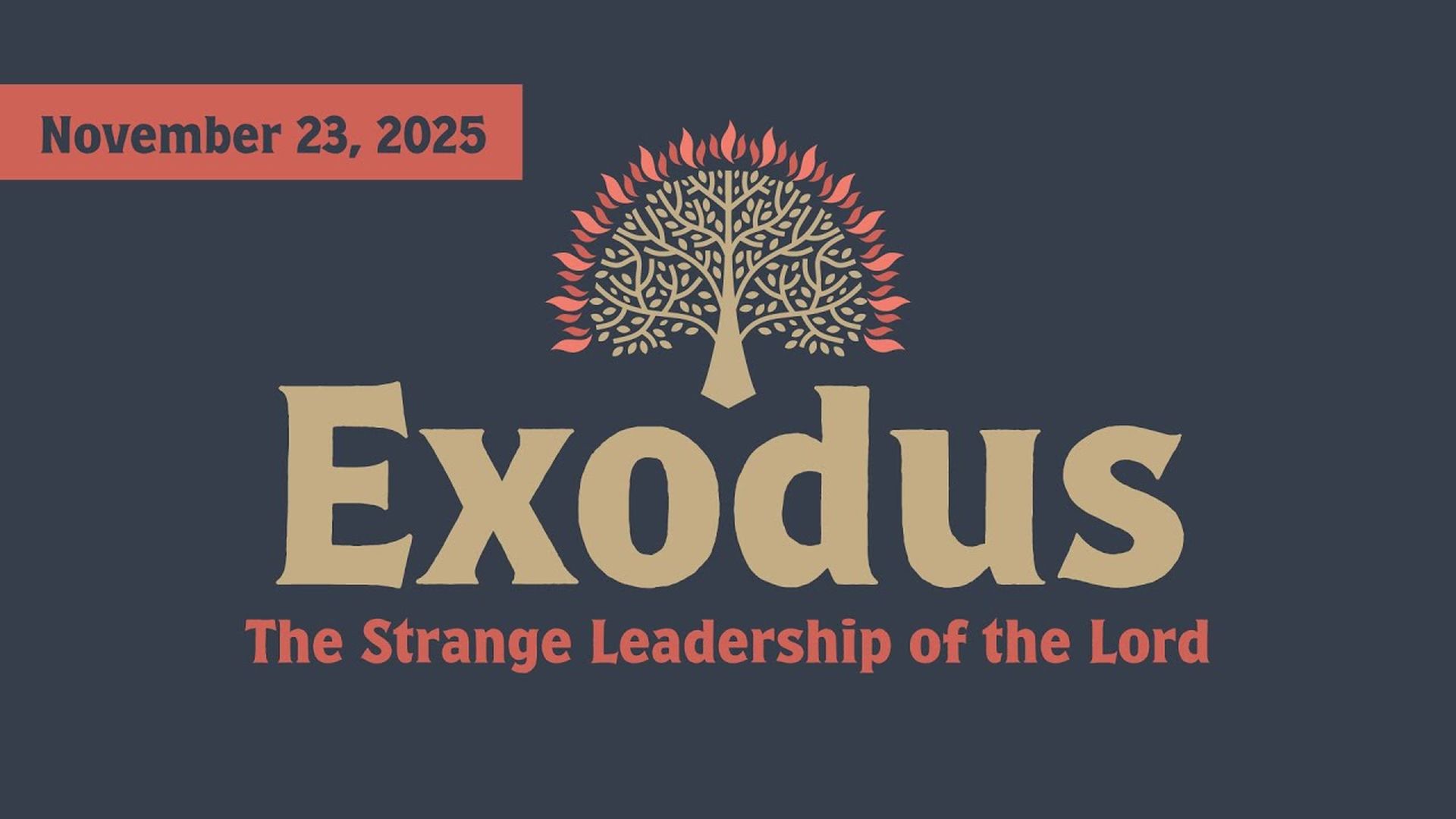 The Strange Leadership of The Lord