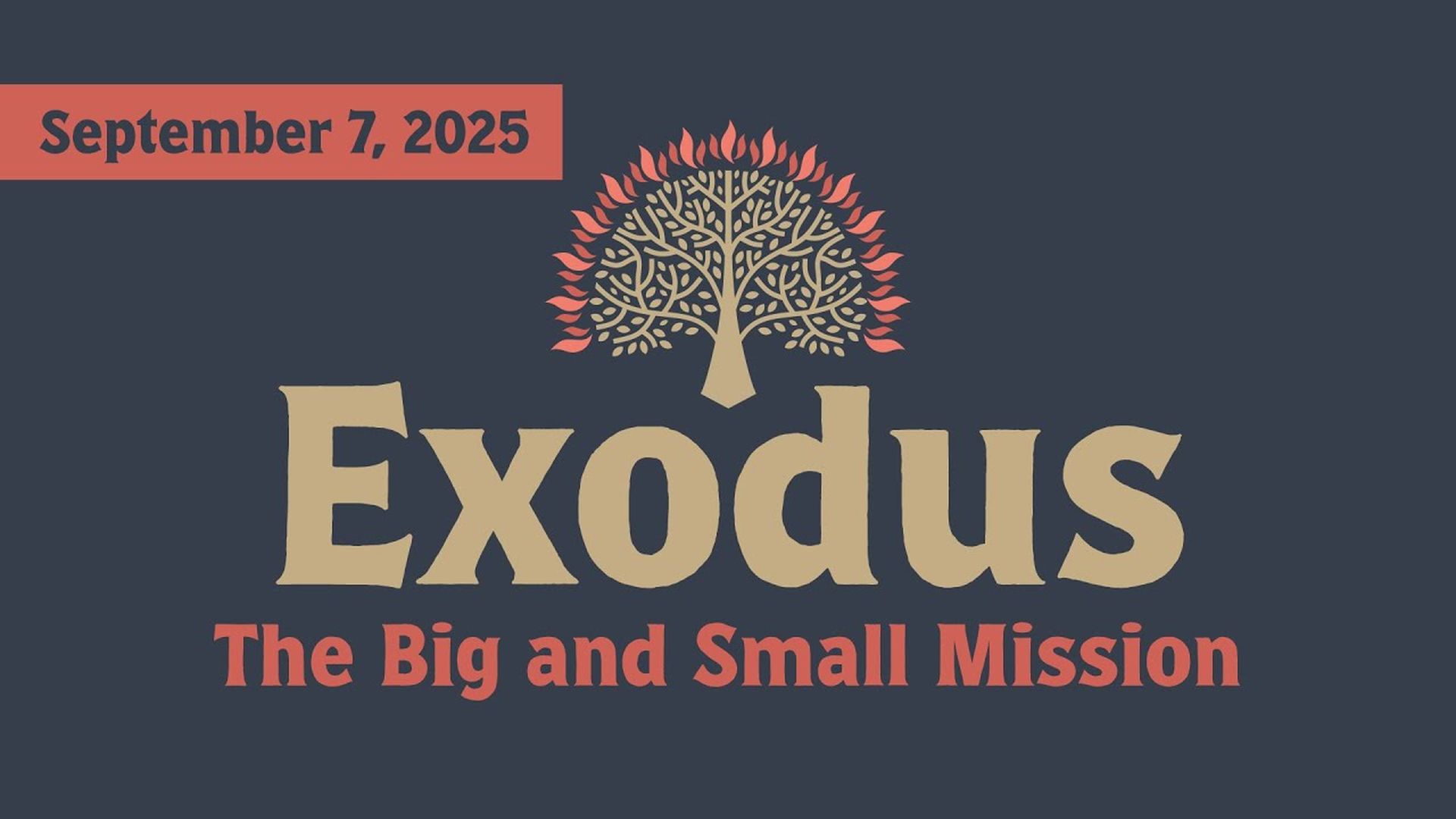 The Big and Small Mission